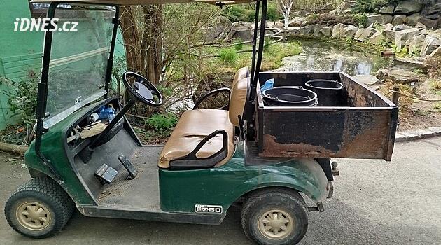 Birisi Pilsen'deki hayvanat bahçesinden golf arabası çaldı