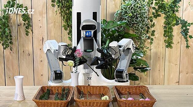 Roboti už nakukují i do domácností. Učí se uklízet i vázat kytice