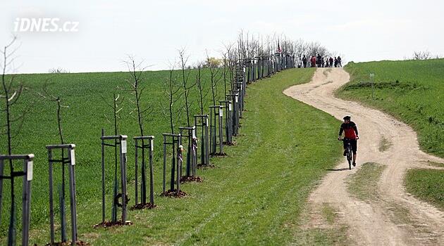 Vysázeli deset lip do Aleje parašutistů na připomínku výsadků do protektorátu