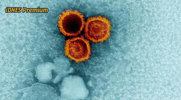 Skok v boji s rakovinou i roztroušenou sklerózou. Vakcína na smrtící virus je blíž