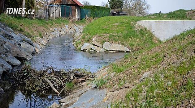 Olomouc'taki kunduzlar deli gibi baraj inşa ediyor ama su insanların bodrumlarına akıyor