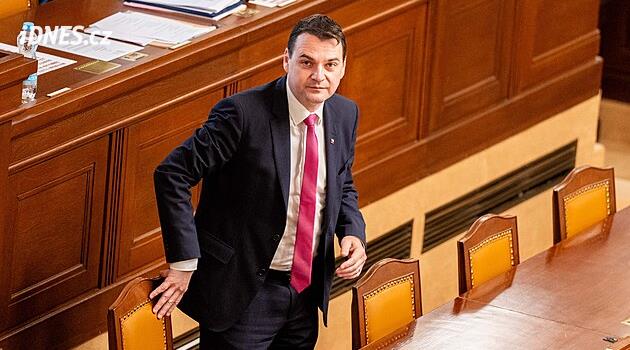 Seçimler 2026: Sürücü kampanyası ve senato ve belediye seçimleri için adaylar