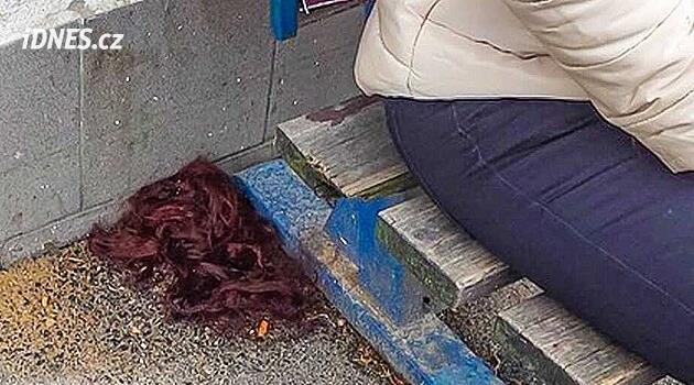 Adam partnerine saldırıp saçını kesti