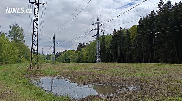 Hayvanların elektrik hatlarının altındaki alanlarla ilgilenmesi gerekiyor