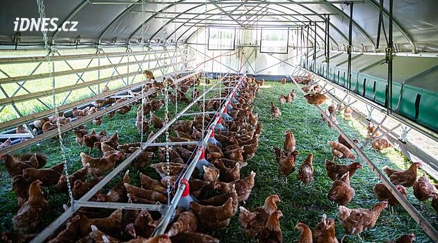 Muhalefete rağmen şirketler Lišov ve Županoviç yakınlarında kümes hayvanı çiftlikleri kurmayı planlıyor