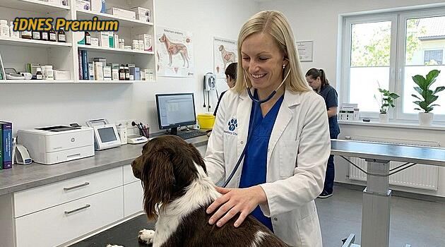 Na dovolené či výletě pozor na intoxikaci psa vodou, může ho ohrozit na životě, varuje veterinářka