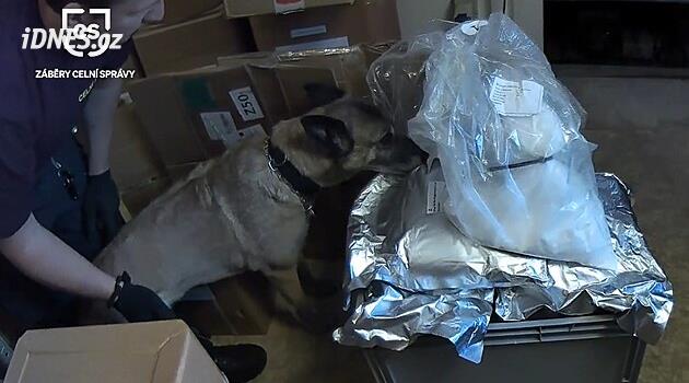 Gümrük yetkilileri Liberec Bölgesi'ndeki bir işletmede 45 kilo kratom ele geçirdi