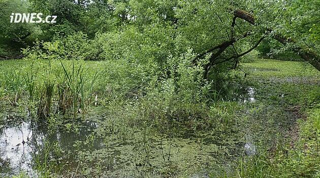 Budejovice belediye binası, Tůně U Špačků'dan geçen yolun geçmeyeceğine karar verdi
