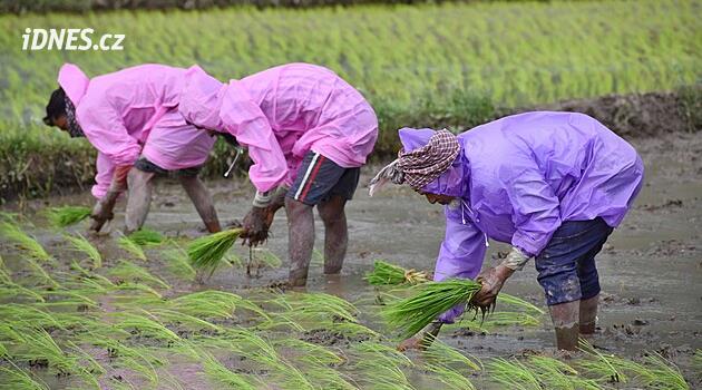 Asya kuraklıkla karşı karşıya, yaklaşan El Niño'dan endişe ediliyor