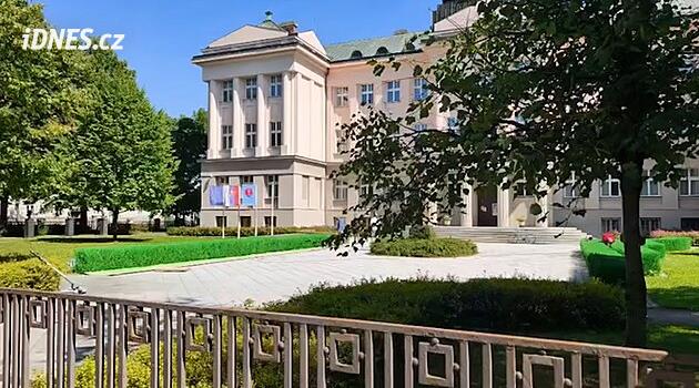 Potěmkinova vesnice 2.0. Na Slovensku obarvili živý plot na zeleno, ukazuje video
