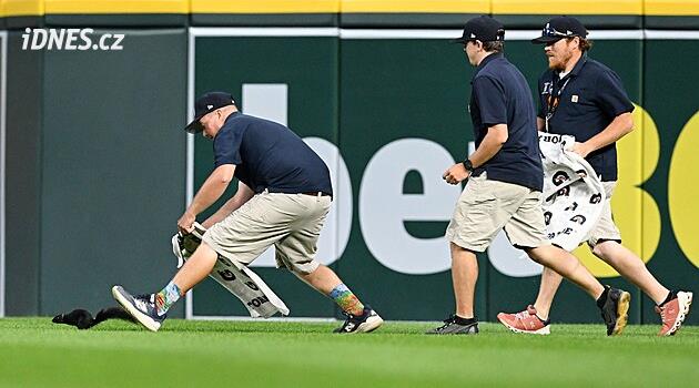 VIDEO: Kuriózní situace na baseballe. Hráči chytali veverku, naháněli ji jak v grotesce