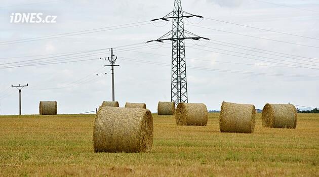 Dřívější sklizeň i jiné pěstební postupy. Zemědělci bojují s proměnou klimatu