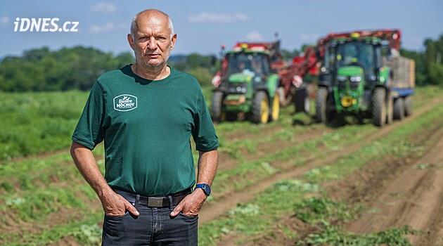 Jak drahé jsou obaly? U zeleniny zdražují přepravku o 20 korun, vadí zelináři