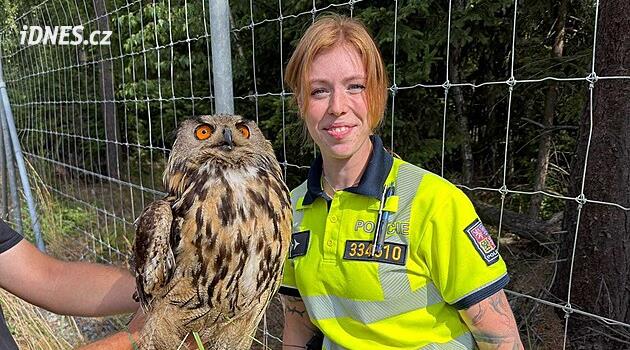 Potíže nadělal policistům na dálnici D1 poletující výr velký