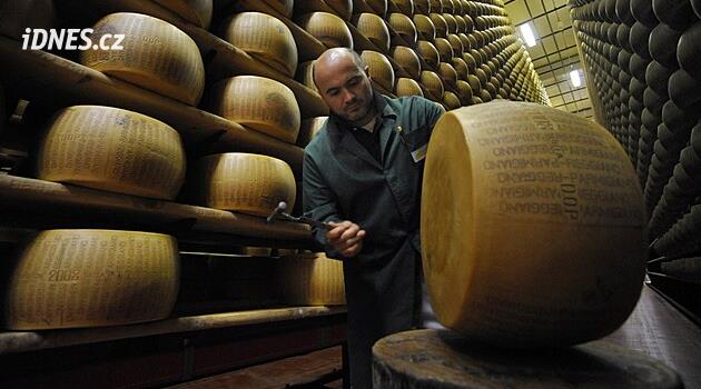 „Krávy víc leží a míň žerou.“ Kvůli extrémním vedrům se Italové bojí o produkci parmazánu