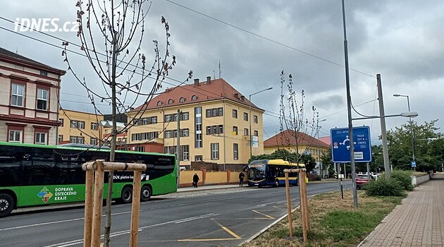 Vzrostlé ustoupily opravě, nové ničí sucho. Stromy nejen v Teplicích doplácí na jednoduché řešení