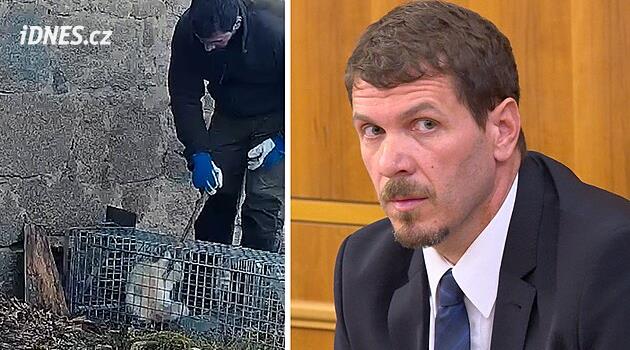 Klackem jsem do koček šťouchal, chtěl jsem je vypustit, hájil se bývalý lesník