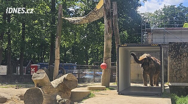 Jeřáb snesl do výběhu kontejner. Libereckou zoo opouští výrazný obyvatel