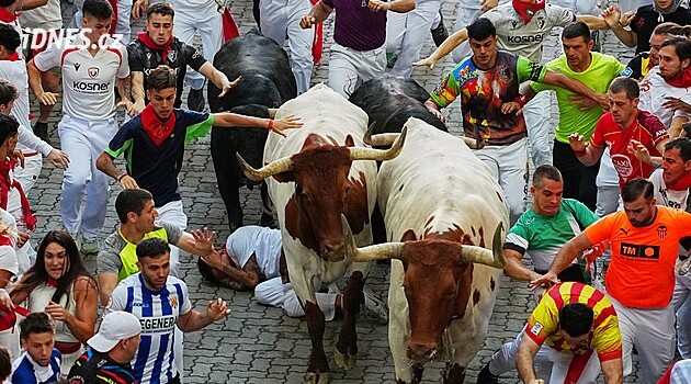 Bodnutí do hrudníku i stehna. Španělskou Pamplonou se prohnali festivaloví býci