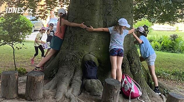 Ekocentrum Hubert na Hukvaldech slaví pět let a zve na noční pozorování netopýrů s detektory