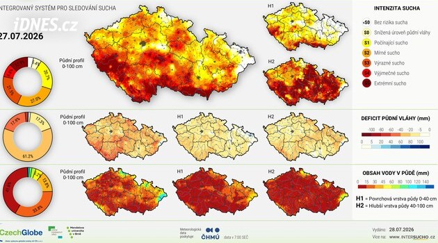 Málo vody pro stromy. Deště v Moravskoslezském kraji pomohly jen mírně, s horky se sucho opět vrátí