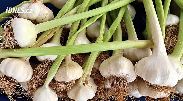Čínský česnek poznáte na první pohled. Stačí vědět, čeho si u palice, stroužků a slupek všímat