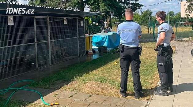 Davetsiz misafirler barınaktaki köpekleri besleyerek onların kusmalarına ve ishal olmalarına neden oldu