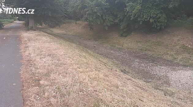 Olomouc bölgesi kuraklıktan muzdarip. Çiftçilere göre yağmursuz dönem uzundu