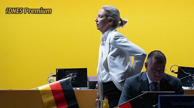 V AfD zuří ostrý mocenský boj. Weidelová provedla tichý masakr