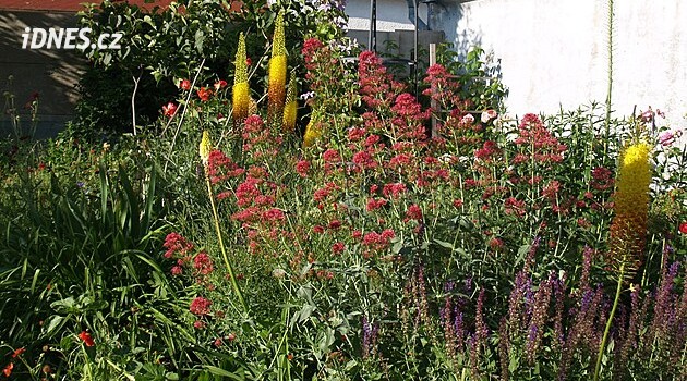 Student botaniky ze zahradního květinového záhonu vytvořil botanickou sbírku plnou barev a vůní