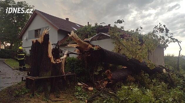 Vichr zlomil mohutnou lípu, spadla na střechu rodinného domu