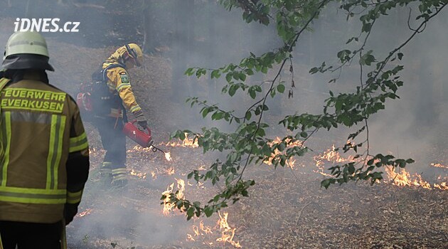 Record Wildfires Hit Belgium and Germany: EU Mobilizes Aid