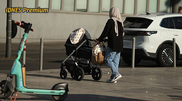 Němcům se nedaří deportace, sabotují je i úředníci. Přehlížejí pokyny Berlína, zuří politici