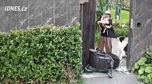 Matka dala přednost psovi před miminkem. Vlastní dítě v kočárku použila jako štít
