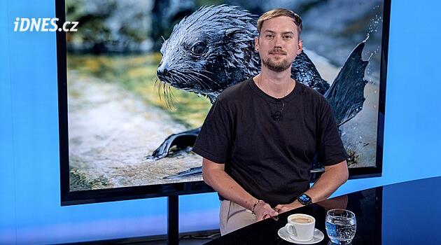 Mladí lachtani musí z kola ven. Chovatel v Rozstřelu popisuje pravidla v zoo