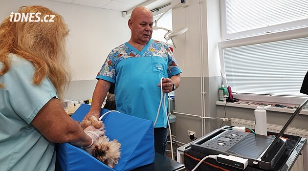 Špičková diagnostika bez stresu z převozu: Třebovický útulek pořídil nový sonograf