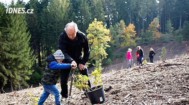 Lesy po kůrovci rostou. Na sedmi místech se můžete podívat, jak se krajina změnila