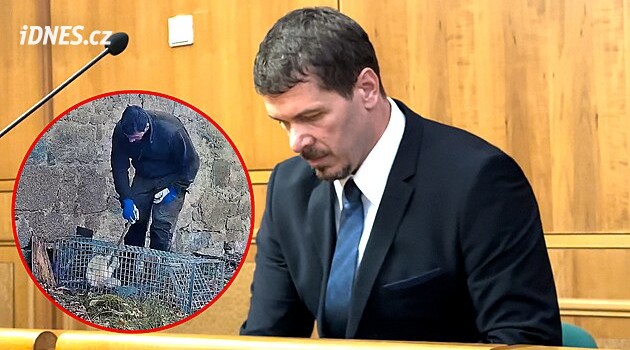 Byla to součást mé práce, odmítá bývalý šéf obory týrání koček. Žalobce žádá podmínku