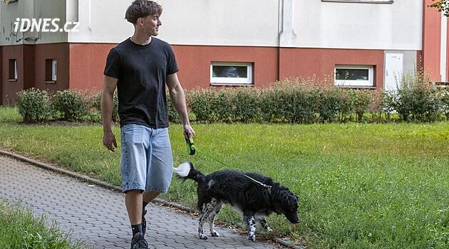 Kde venčit psy? Ve Zlíně chybí místa pro pejskaře, město připravuje revitalizaci loučky v Dlouhé ulici