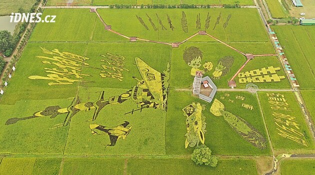 Takhle rýžová pole jen tak neuvidíte. V Číně z nich vytvořili obří umělecká díla