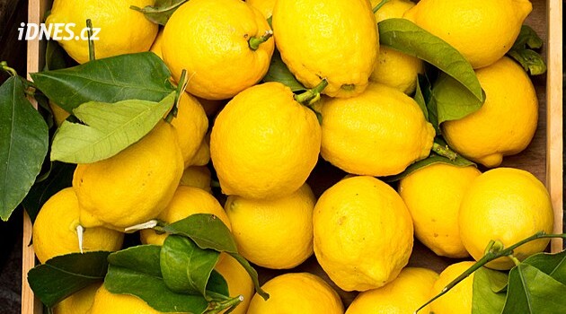 Nachlazení klepe na dveře. Nejdřív musíte vědět, jak vybrat nejlepší citron