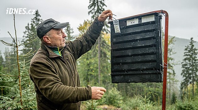 Kůrovec v Krkonoších je zatím pod kontrolou, příští rok se však očekává zhoršení