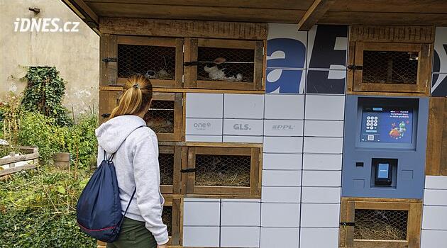 Králíci místo balíků. Umělecká Králíkárna v brněnské Káznici reaguje na výdejní boxy